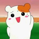 치퀸 이미지
