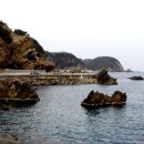 헌화로 Daum카페