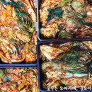 스시코이 티스토리