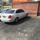 올리몰스 펫샵 이미지