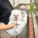 동물에 반하다 동물병원 이미지