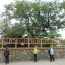 제2산록도로 광평교차로 이미지