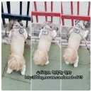 둥이PC 이미지