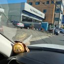 블루핸즈사림점 이미지