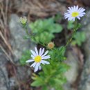 가학선착장 이미지