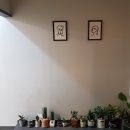 하놀