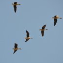 사격장앞 이미지