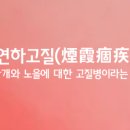 노을을 사랑하는 의 이미지