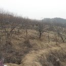 은혜네집 이미지