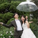 디하우스 이미지