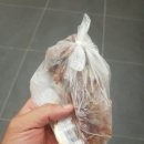 순돌이네펫택시 | 대형견 장례식장