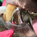 (주)치아세상 이미지