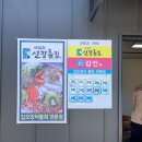 선창 | 태안 마검포항 맛집 선창횟집 세숫대야 갑오징어 물회 후기