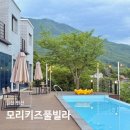 울산 키즈펜션 추천 모리키즈풀빌라 독채 경주 키즈풀빌라 애견동반 숙소