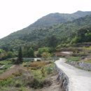 용문사 대형주차장 이미지