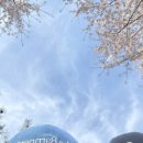 오빠뽑아줘 3호점 | [일상] 늘 오지만 항상 새로운