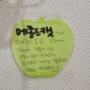 메종 드 캣 이미지