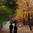 뽀삐살롱 이미지