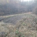 함안땅공인중개사사무소 이미지