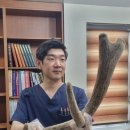 경희보성한의원 이미지