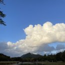 포레드노드 이미지