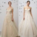 에이메드 이미지