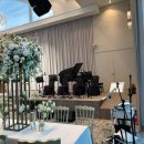 고려 수 타워 | [웨딩] W.4 dmc타워웨딩 펠리체홀 26년 하반기 계약 후기 | 서울 밝은홀 추천 | 서울 웨딩홀 추천