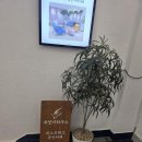 부엉이하우스