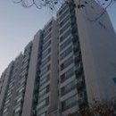 보체리405