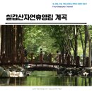 대치면사무소 | 칠갑산 자연휴양림 계곡 SNS에서 핫한 바로 이곳!