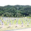 사계절푸른솔 태권도 이미지