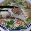 130 | 호평동 맛집 남양주 애견동반식당 포앤박베트남쌀국수 방문 후기