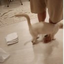 동굴펜션 | 20년 8월 제주숙소_ 내려놓기펜션, 녹차동굴