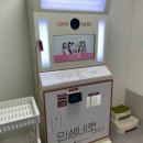 봄플라잉&번지