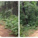 영산대학교학생생활관 이미지