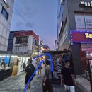 zemna zemna 이미지