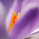 생활일본어 이미지