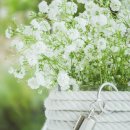 남계초등학교 이미지