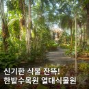 한밭과일