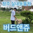 모란농장 | 청주 실내동물원 버드앤쥬