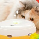 캐치캐치 이미지