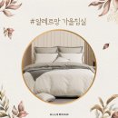 알레르망광주 - 북구 설죽로 227 | 알레르망광주