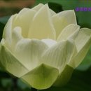 광명카서비스 | 강원도 강릉 렌트카 렌트 추천 광명렌트카 강릉영업소 강원도 강릉 렌트카, 친절한 서비스 제공