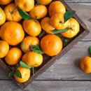 혜인농장 이미지