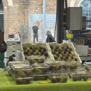 라모타A 이미지