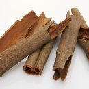 대학육계2 이미지