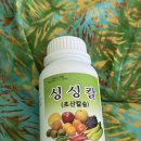 이연농장 | 식물영양제 초산칼슘 액상비료 웃자람 방지 초산칼슘 싱싱칼 후기