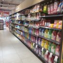 파인트리리조트 이미지