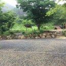 무릉도원면-45 이미지