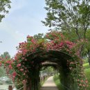 소풍정원 캠핑장 (화장실)1 이미지